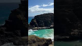 Halona Beach Cove in Oahu 😍 right by Halona blowhole lookout point #travel #hawaii