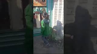 Two Muslim children are helping an orphan girl||islami video||Dialog Islamic