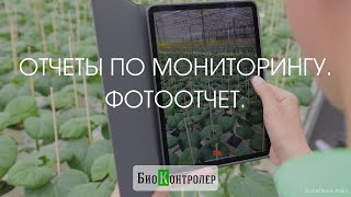 Отчет по фотографиям.