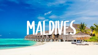 BANDOS MALDIVES ISLAND // Film by NOMAD 🌴