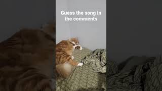 Guess the song in the comments