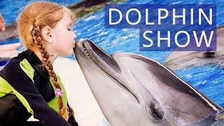 Dolphin Show at Nemo Dolphins Bay in Phuket | Price | Review | Avitip