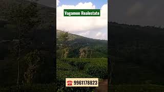 30 Cent land for sale in Vagamon | #realestate #vagamon #investment #keralarealestate