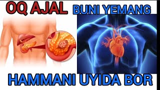 ZUDLIK BILAN YEYISHNI TO'XTATING OQ AJAL HAMMANI UYIDA BOR