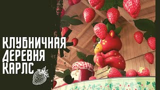 Фермерские продукты из знаменитой деревни/день за городом