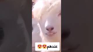 ١٦ ديسمبر ٢٠٢٢