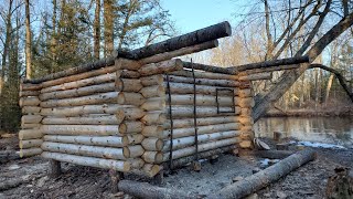 building a tiny rustic wilderness log cabin (episode 22 ) #Sidewalls Completed #foodCavemanStyle.