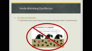 Intro to Hardy-Weinberg