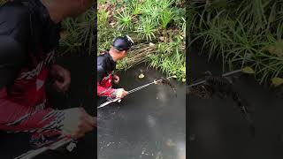 Lucky SpearFishing In The Beautifull River  😱