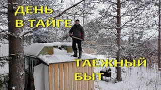 День в зимней тайге. Зимний таёжный быт. Таежная изба.