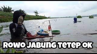 mancing ngobok di tengah rawa Jabung lamongan