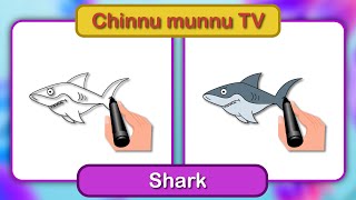 How to Draw a Shark?- ChinnumunnuTV |Simple -Cute Drawings for Kids|வரையலாம் வாங்க |varayalam vaanga