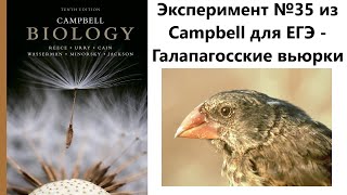 Эксперимент №35 из Campbell для ЕГЭ - Галапагосские вьюрки