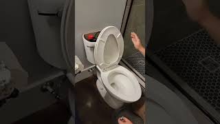 Toilet Leak Test