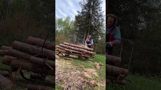 Power Chainsaw: Stihl 270 Works Again