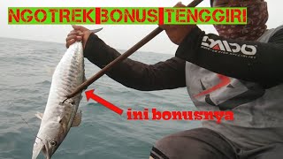 serunya mancing ngotrek panen tengkek dan bonus tenggiri