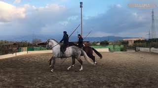 Equipe Fernández beim Training für CAVALLUNA - „Legende der Wüste" | #seeyousoon | Tour 2019/2020