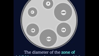 What Does Zone of Inhibition Mean