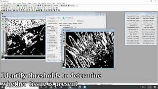 A Simple Method for Creating a High-Content Microscope for Imaging Multiplexed Tissue Microarrays