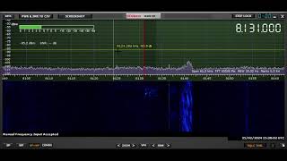 8131 kHz. Rus AF LRA Net, with attempted frequency jamming. 25 2024 02