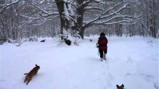 snowdogs3  2010.AVI