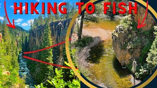 Fishing a Secluded Canyon! (no trails)