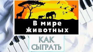 В Мире Животных Музыка На Пианино Обучение | Красивая Песня | Жаворонок