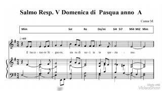 Il tuo amore Signore, sia su di noi: in te speriamo. #salmoresponsoriale  V Domenica di Pasqua A.