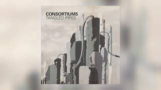 Consortium5 - Quintet for Fifteen Recorders [Audio]