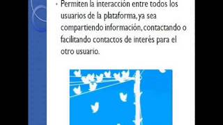 caracteristicas de las redes sociales