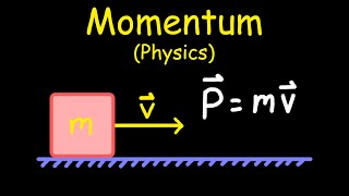 Momentum Tutorial (Physics)