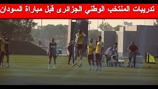 شاهد تدريبات المنتخب الوطني الجزائري قبل مباراة السودان