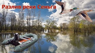 Весенний разлив реки Сеньга, или на лодке по дороге