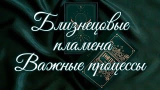 БЛИЗНЕЦОВЫЕ ПЛАМЕНА. КАКИЕ ВАЖНЫЕ ПРОЦЕССЫ ВЫ ПРОХОДИТЕ СЕЙЧАС