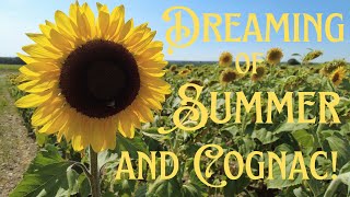 Ep. 33 Dreaming of Summer (... and Cognac!)