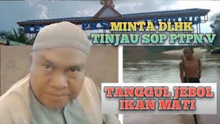 Kolam Biogas PTPN V Jebol, Pakar Lingkungan Hidup Riau, Dr Elviriadi M.SI Desak DLHK Tinjau  SOP