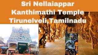 Nellaiappar Temple, Tirunelveli | 1000 அதிசயம் கொண்ட அற்புதமான கோவில் , நெல்லையப்பர் கோவில் #nellai