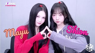 [ENG SUB] tripleS SIGNAL LIVE 241022 (Mayu, Shion) 트리플에스 Apple Cherries