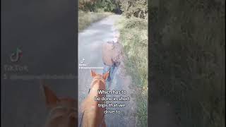 First time riding a trail after my horse died