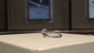 Taynah Rocha's Engagement Ring (PLATINUM)