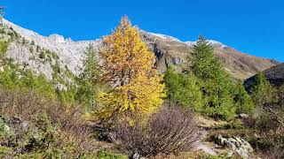 Herbststimmung in Gletsch VS