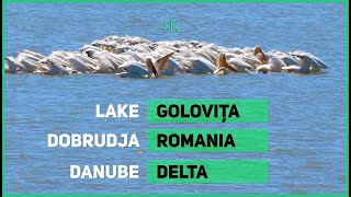 Lake Golovita | Amazing Danube Delta