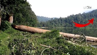 TREKKING CURUG CIMANARACUN, WOW