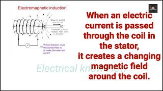 The working principle of motors