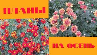 🍁КНИЖНЫЕ ПЛАНЫ НА ОСЕНЬ🍁