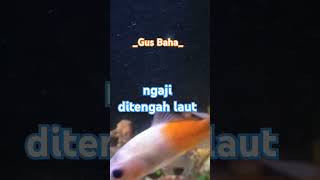 Orang ditengah laut ngaji #shorts #shortsfeed #gusbaha #gusbahakiyai