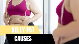 Belly Fat Causes | Tips To Lose Belly Fat 🤔🍔