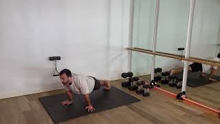 Plank Forward Tilts