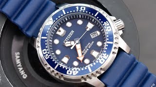 Citizen Promaster Eco-Drive Diver REVIEW! - Best diving watch under $200!