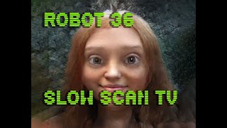 0069 Toonify SSTV Robot36